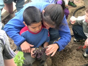 Colorado Master Gardener Program – Boulder County Extension