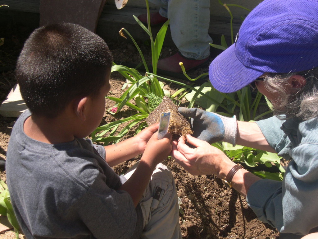 A master gardener and a youth work together gardening