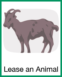 Lease an animal project navigation