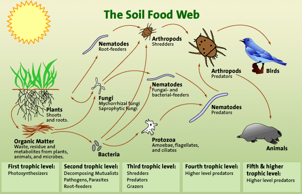 Sustainable Agriculture Boulder County Extensionboulder County Extension